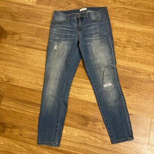 STITCH FIX Lila Ryan Liza Skinny Jean